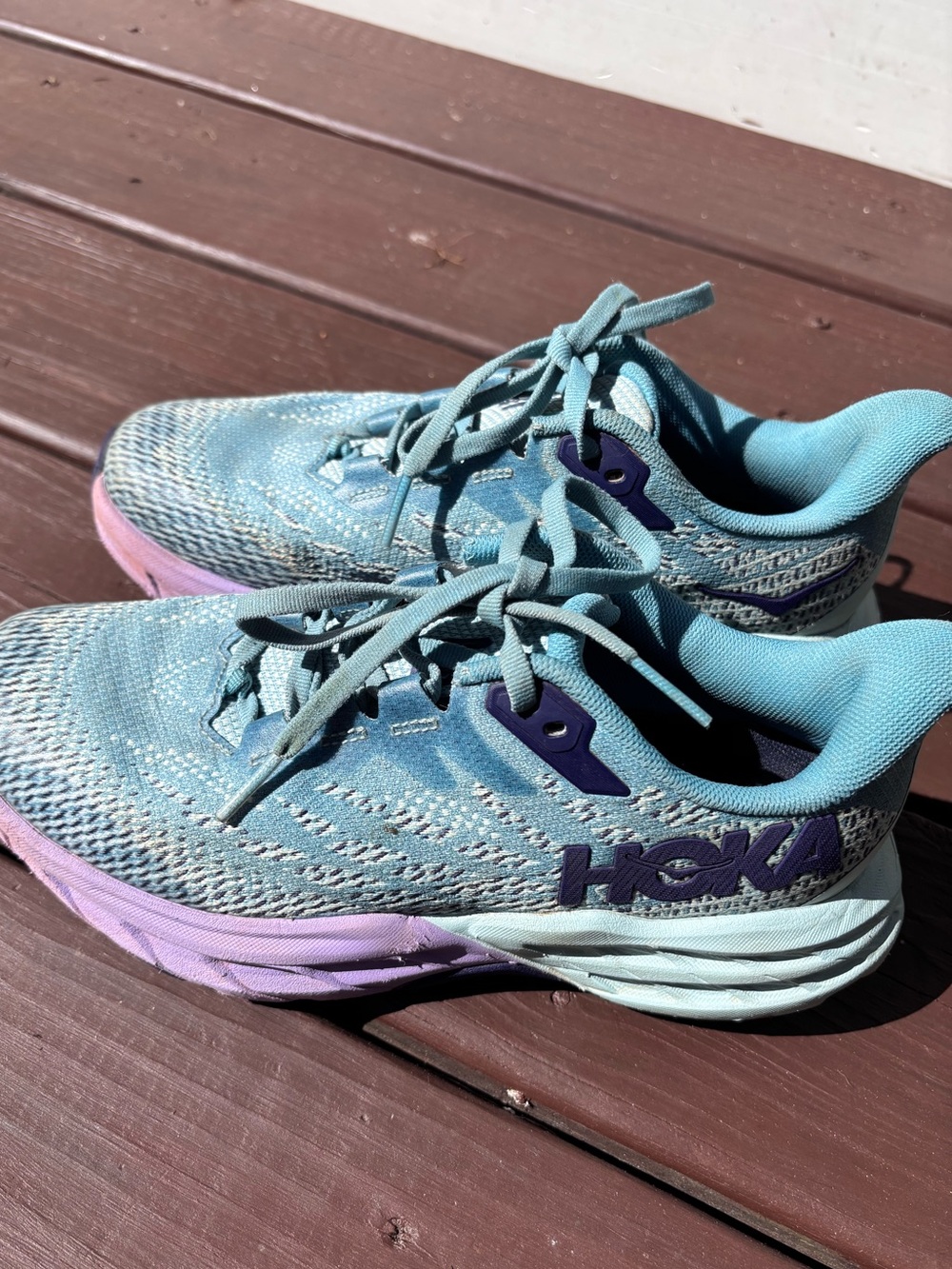 Hoka Speedgoat